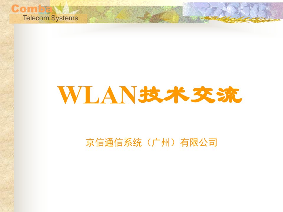 《WLAN基础技术交流》PPT课件