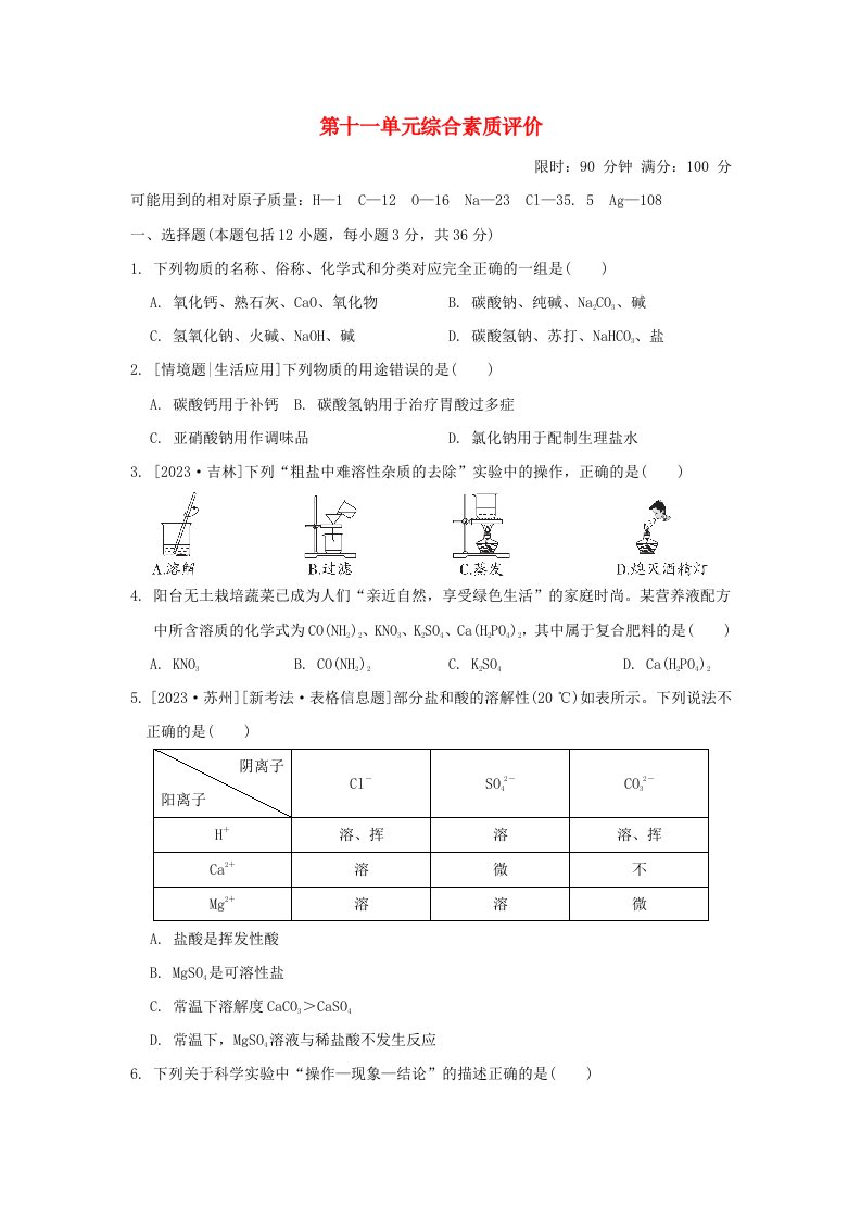 2024九年级化学下册第十一单元盐化肥综合素质评价新版新人教版