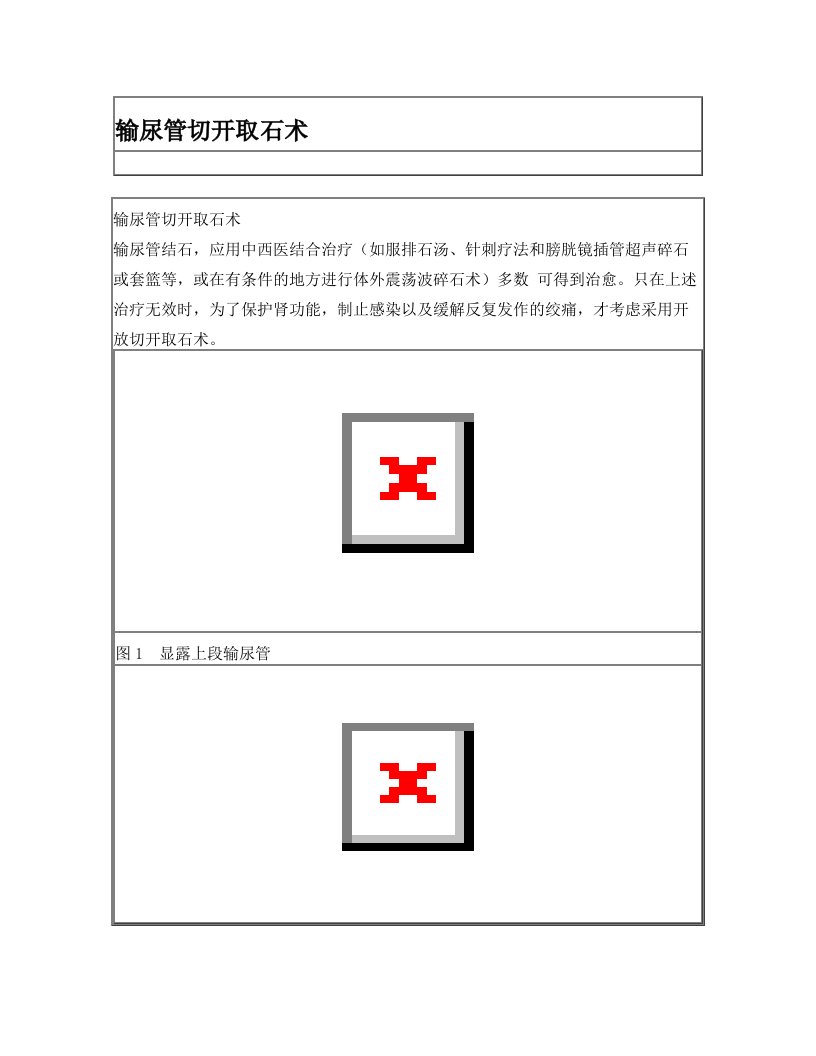 输尿管切开取石术