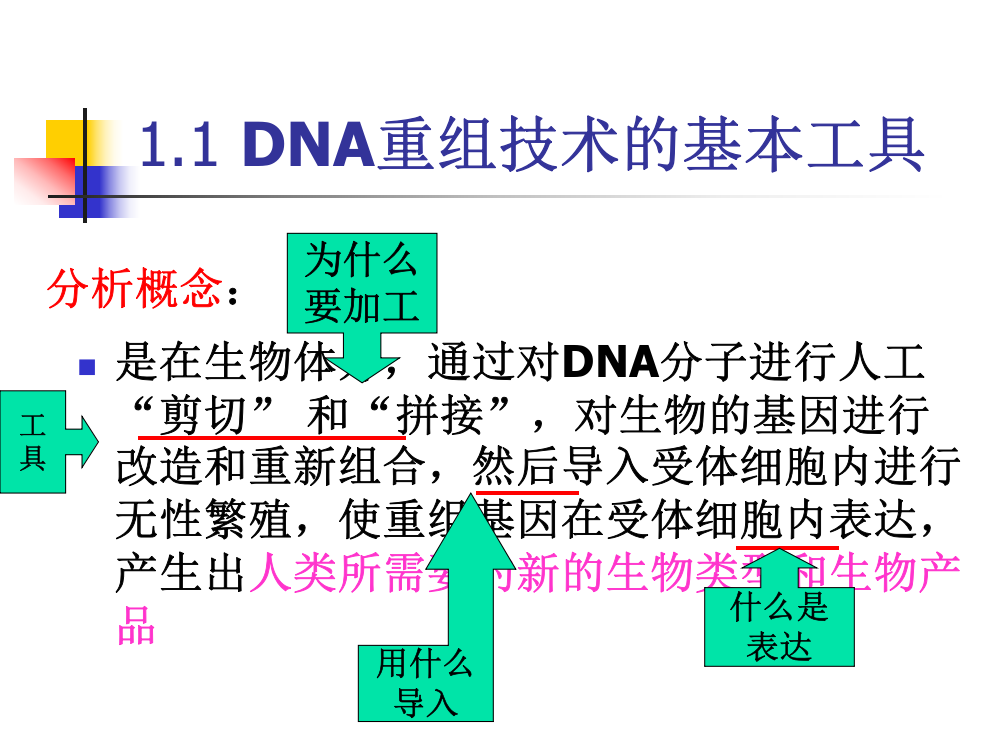 专题-----蛋白质工程的崛起