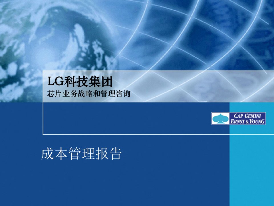 LG企业成本管理报告书