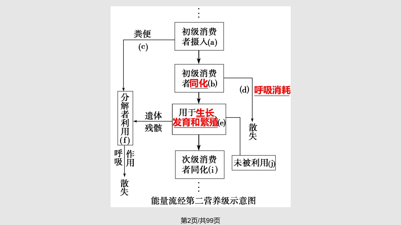 生态系统的能量流动复习