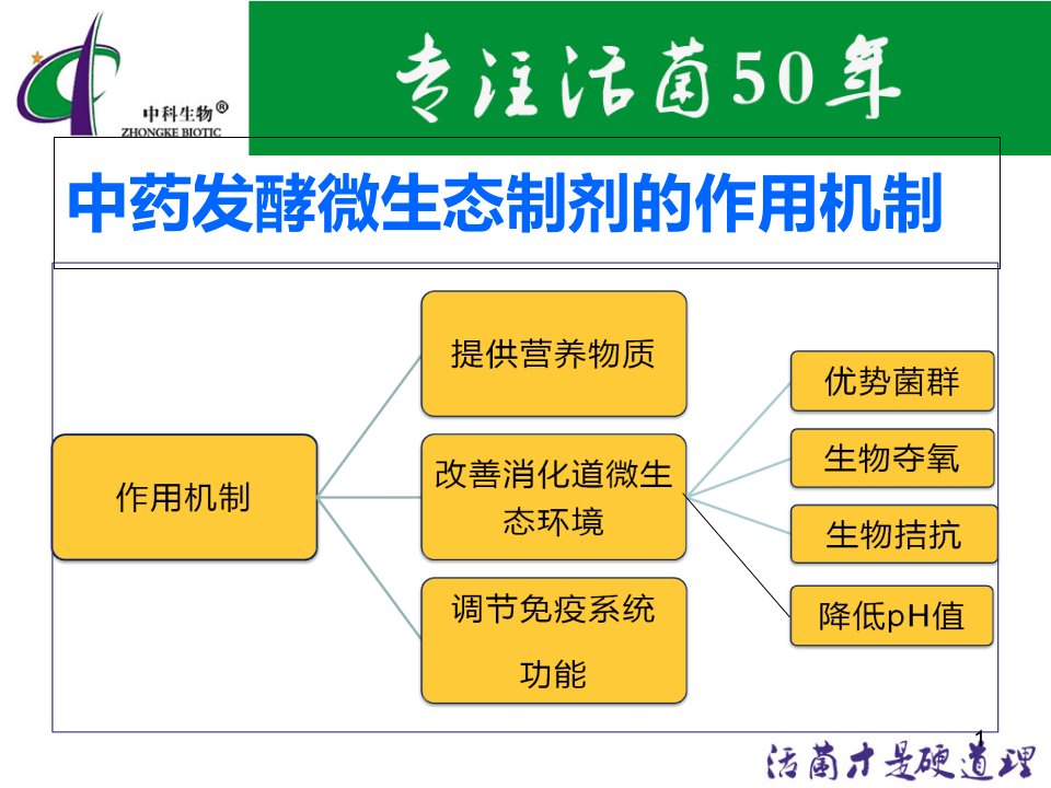 微生态微生态制剂在养殖业的应用课件