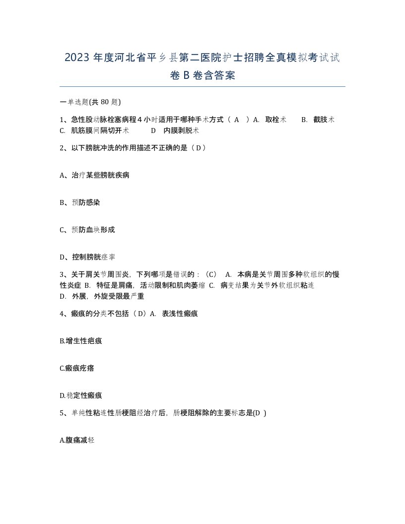 2023年度河北省平乡县第二医院护士招聘全真模拟考试试卷B卷含答案