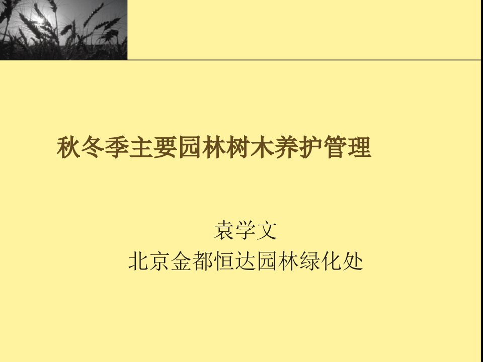 冬季园林树木养护管理冬季修剪(企业协会)