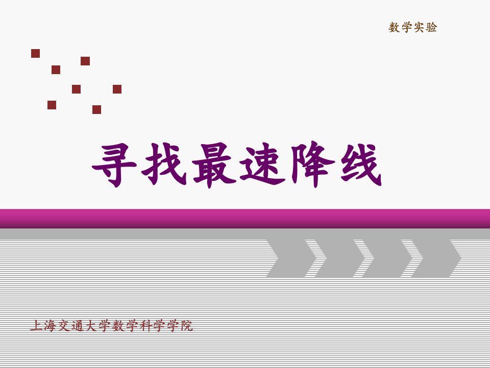 最速降线问题仿真方法Matlab程序-上海交通大学数学系