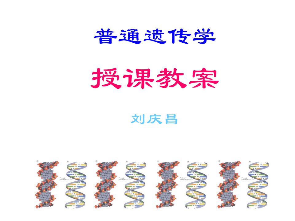 生物课件遗传学幻灯1