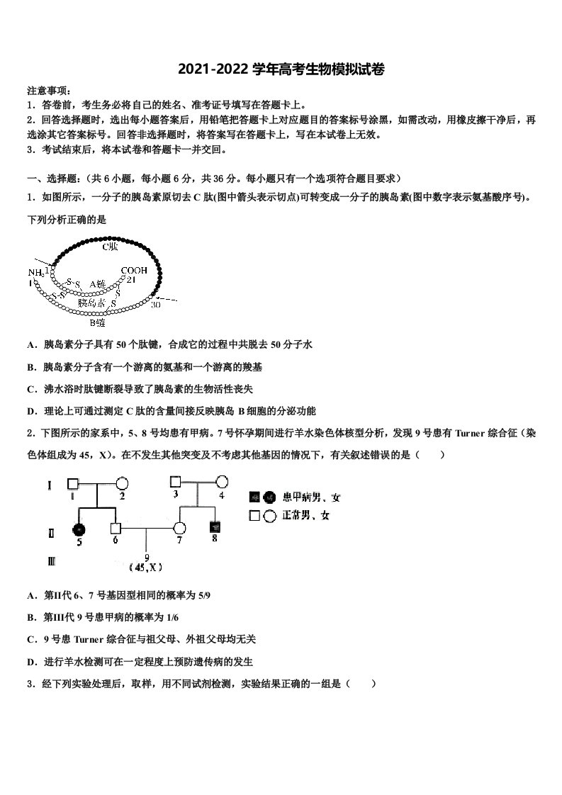 湖南省衡阳市正源学校2021-2022学年高三第六次模拟考试生物试卷含解析