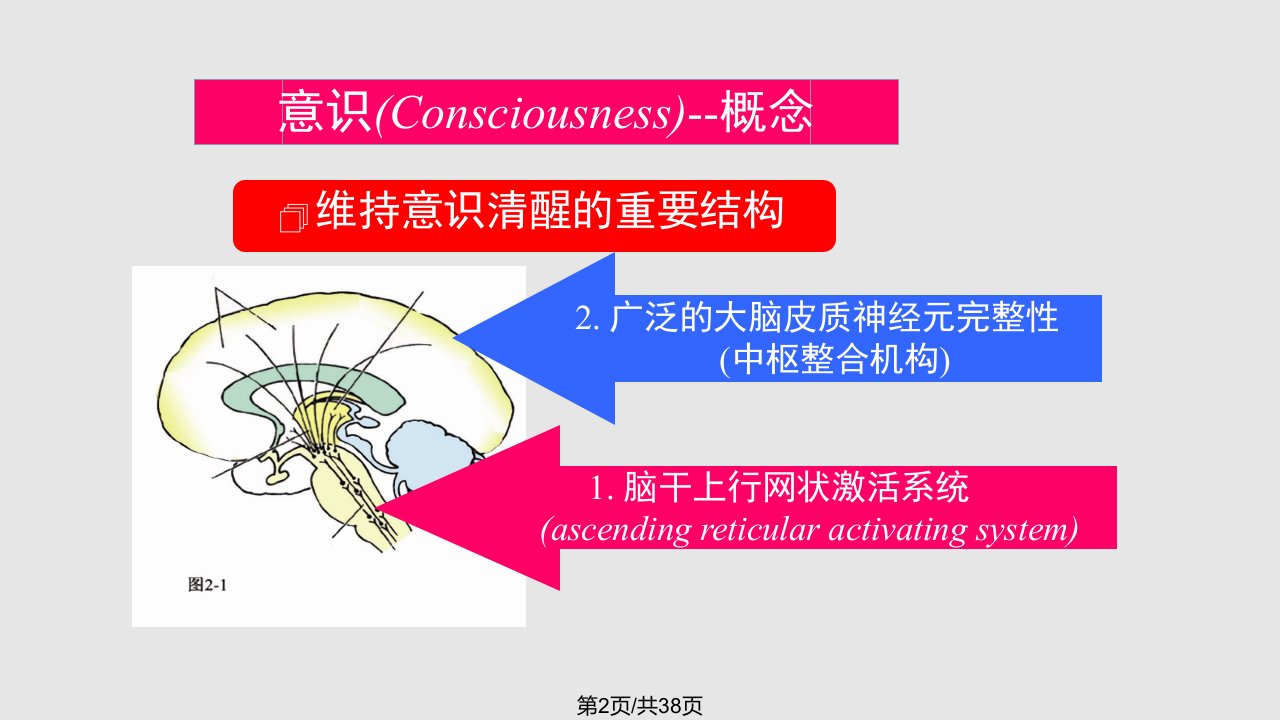 意识障碍分级