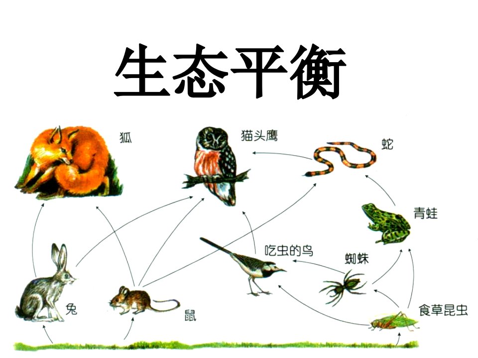 九年级科学生态平衡