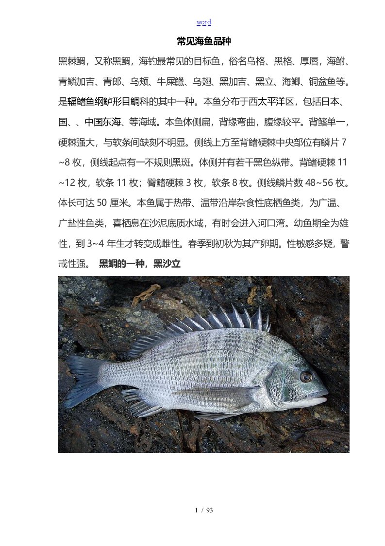 海南常见的海鱼品种