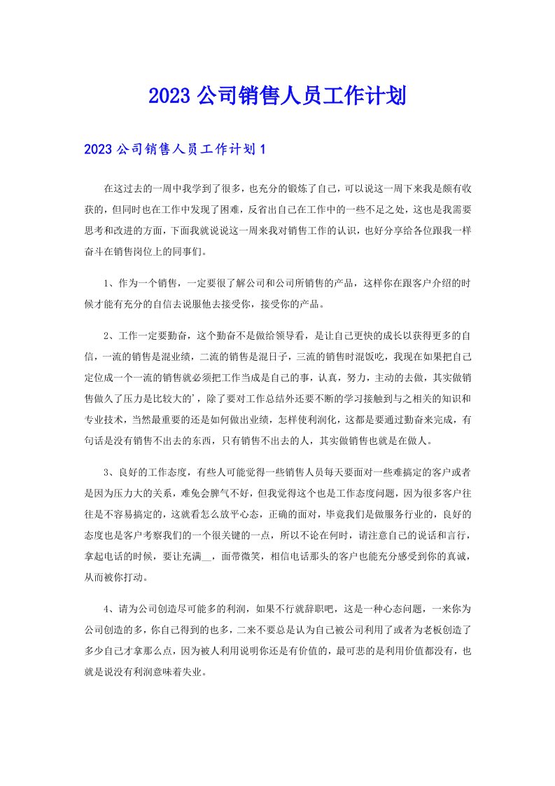 2023公司销售人员工作计划