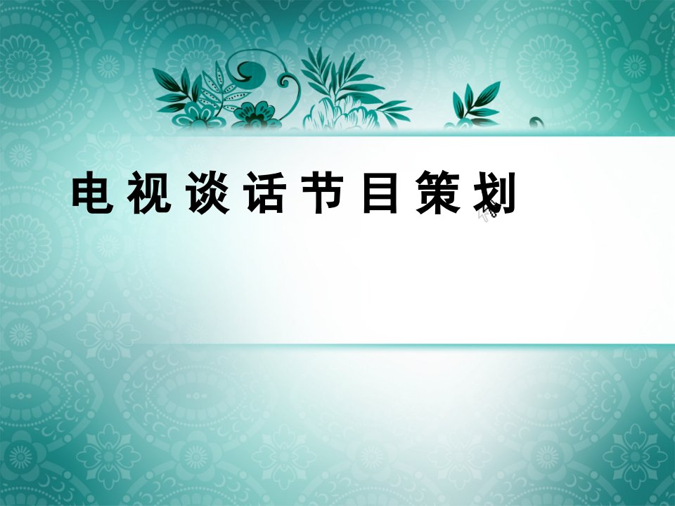 策划方案-电视节目编导电视谈话节目策划