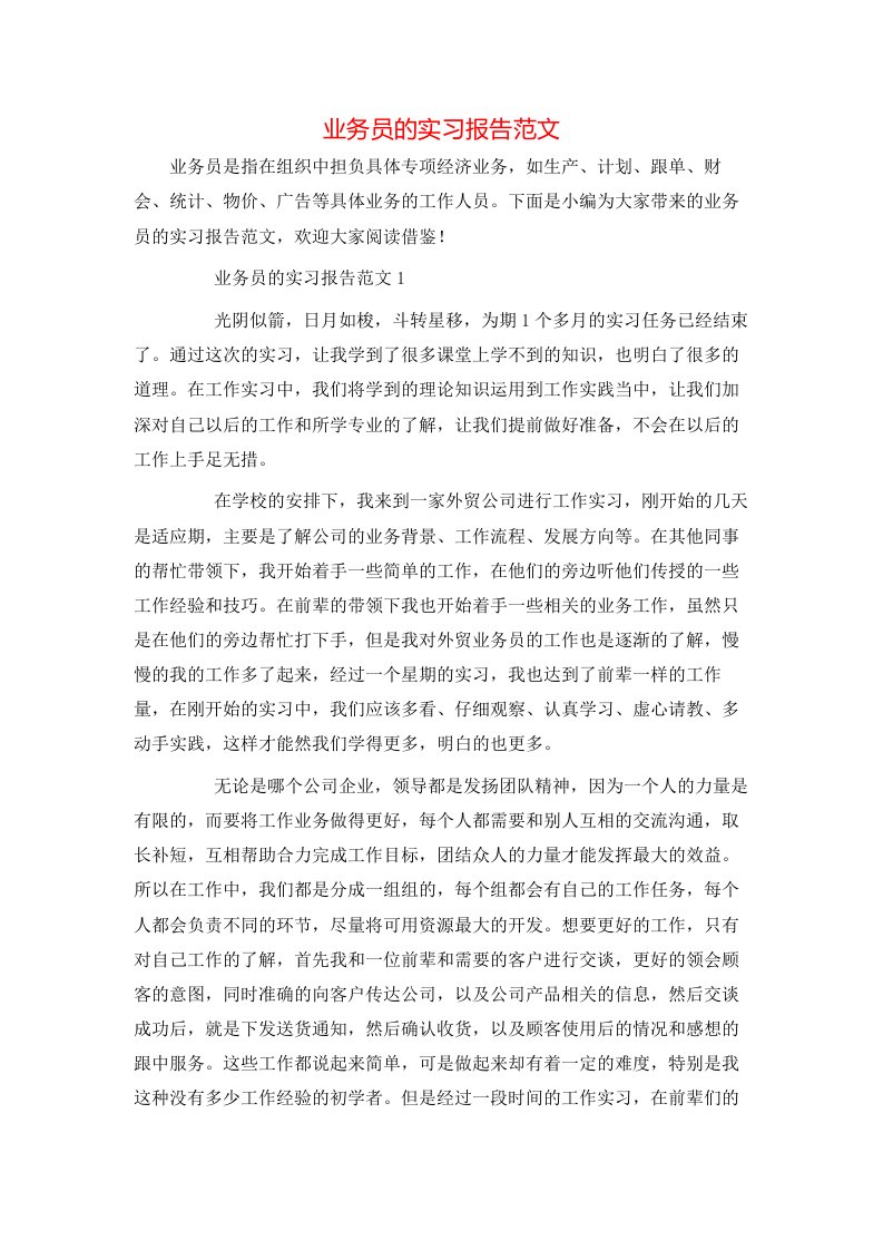 精选业务员的实习报告范文