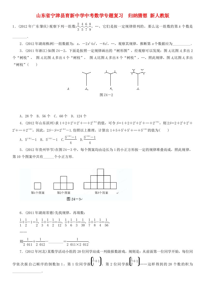 山东省宁津县育新中学中考数学专题复习