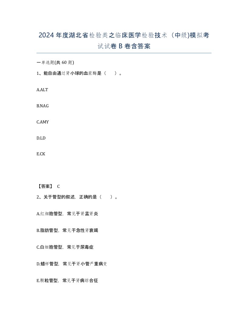 2024年度湖北省检验类之临床医学检验技术中级模拟考试试卷B卷含答案