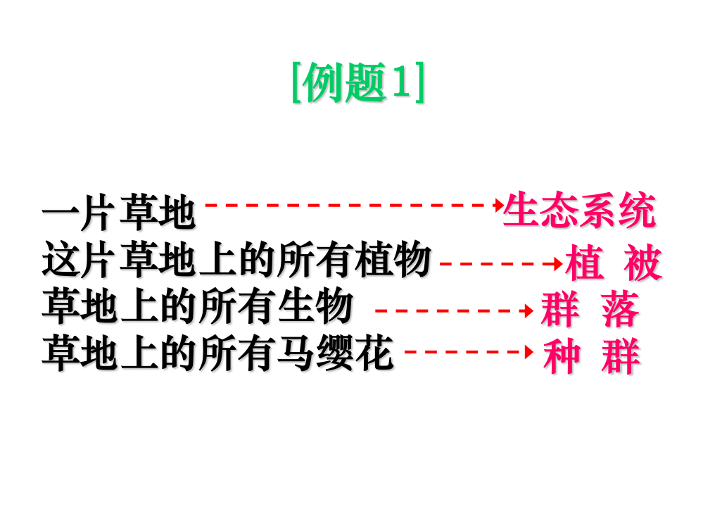 探究题专向练习--浙教版