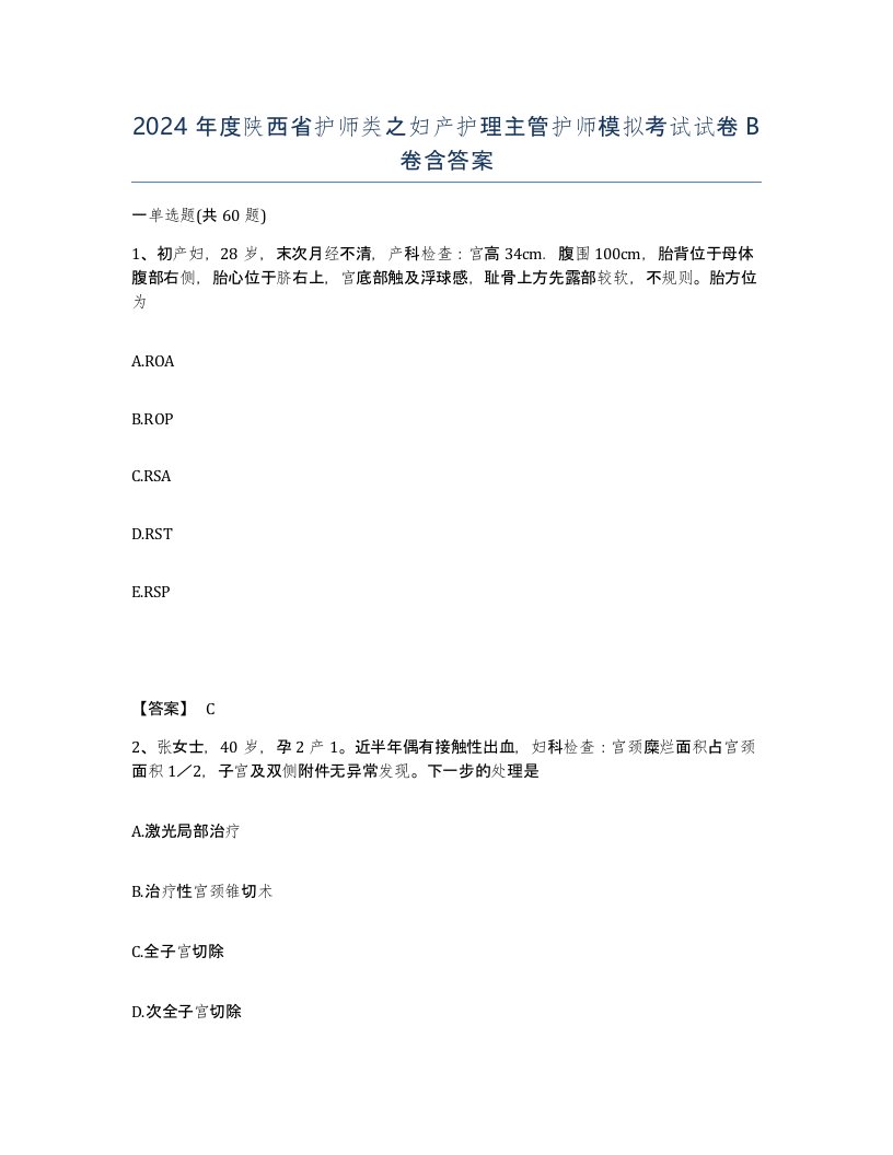 2024年度陕西省护师类之妇产护理主管护师模拟考试试卷B卷含答案