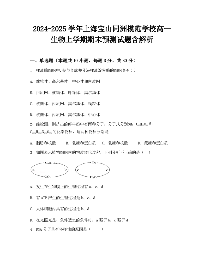 2024-2025学年上海宝山同洲模范学校高一生物上学期期末预测试题含解析