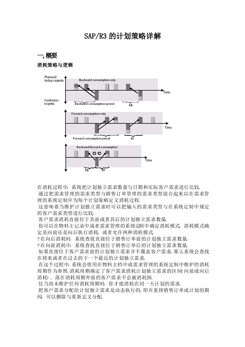 sap计划策略详解-word资料(精)