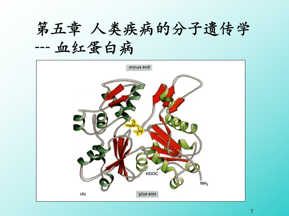 医学遗传学-人类疾病的生化和遗传学.ppt课件