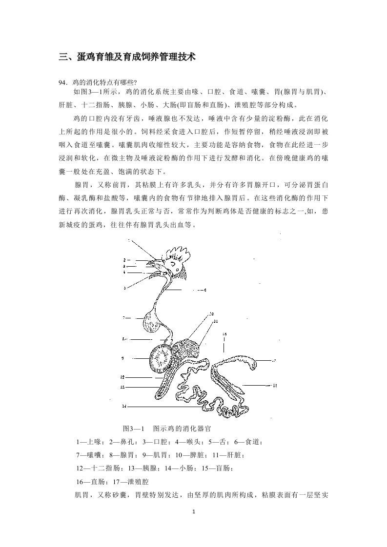 蛋鸡育雏及育成饲养管理技术