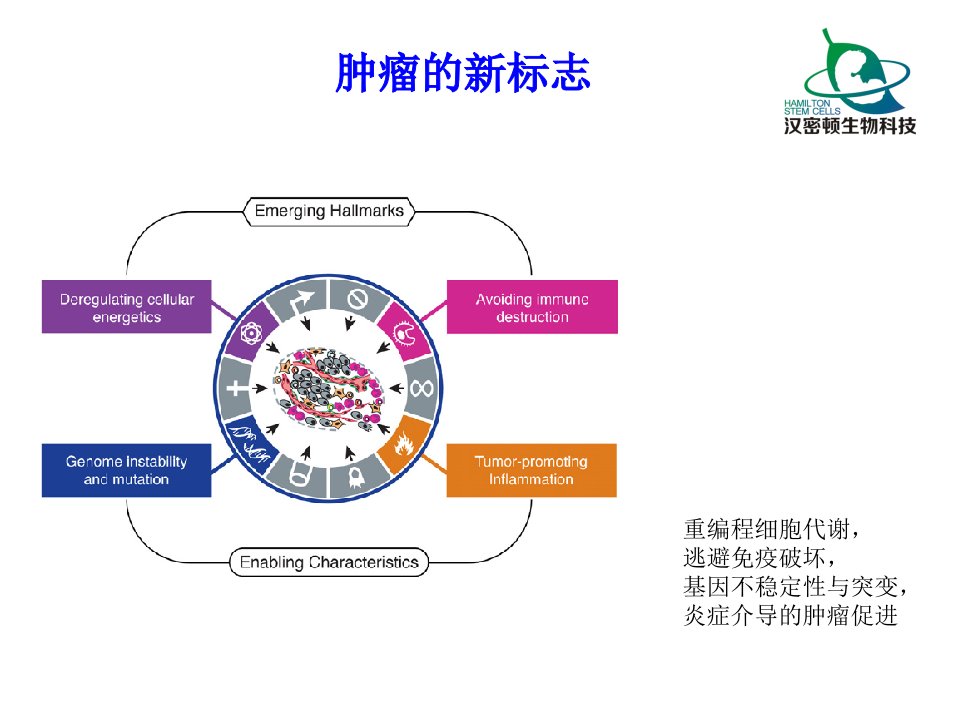 肿瘤免疫细胞治疗ppt课件