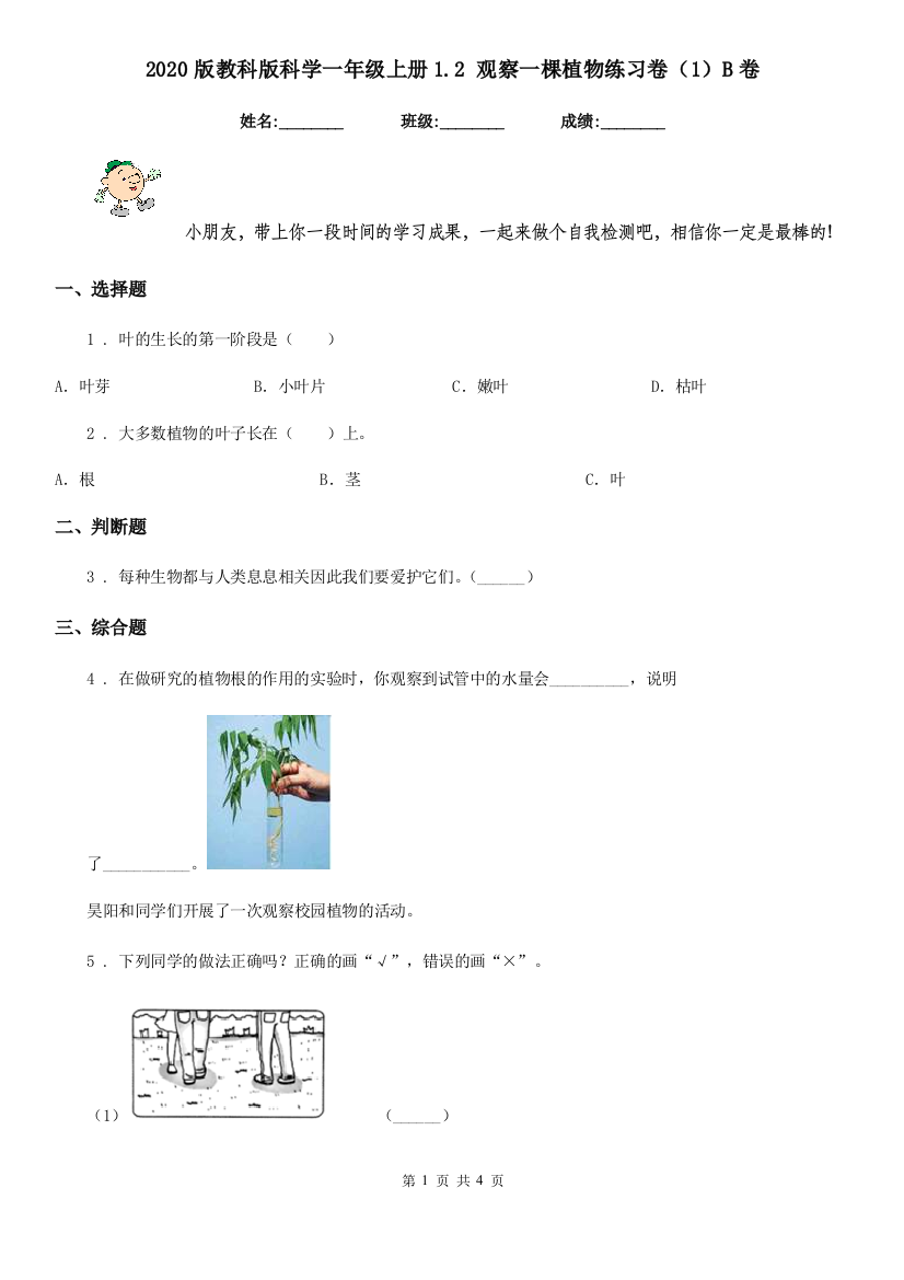 2020版教科版科学一年级上册1.2-观察一棵植物练习卷1B卷