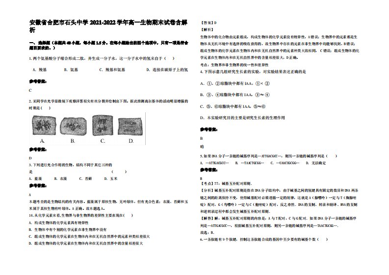 安徽省合肥市石头中学2021-2022学年高一生物期末试卷含解析