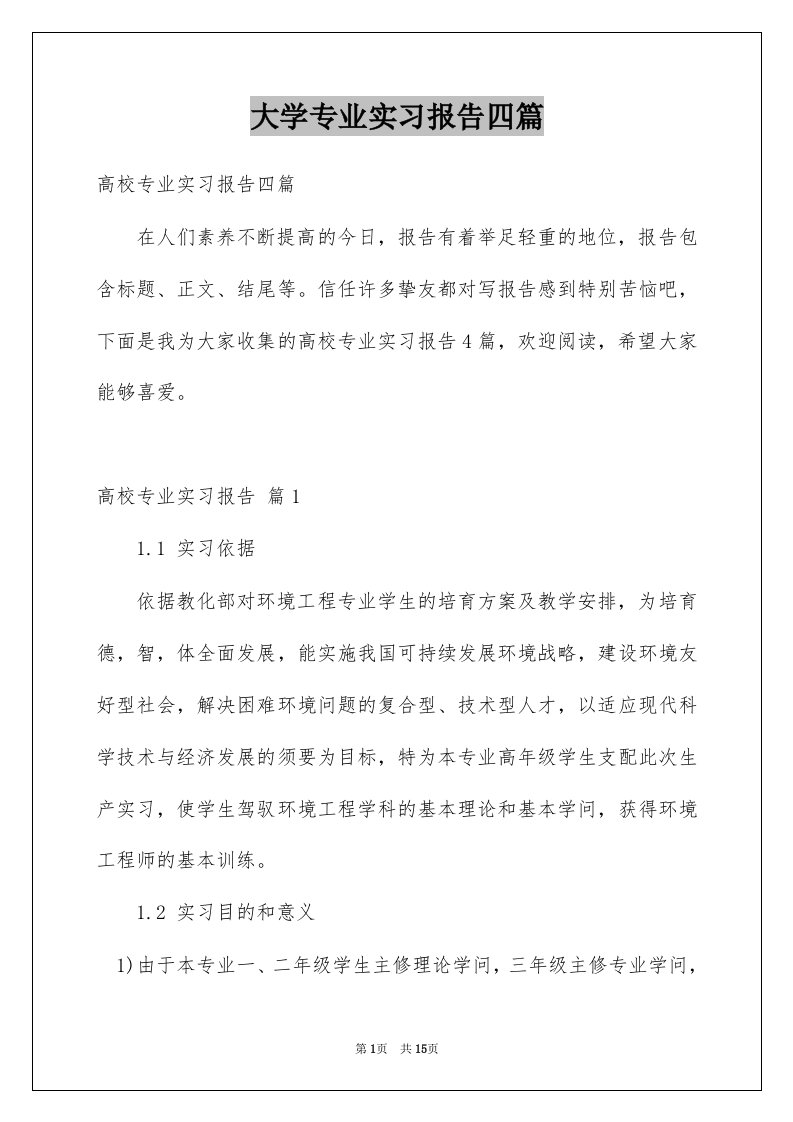 大学专业实习报告四篇例文