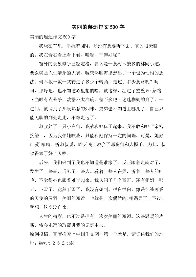 美丽的邂逅作文500字