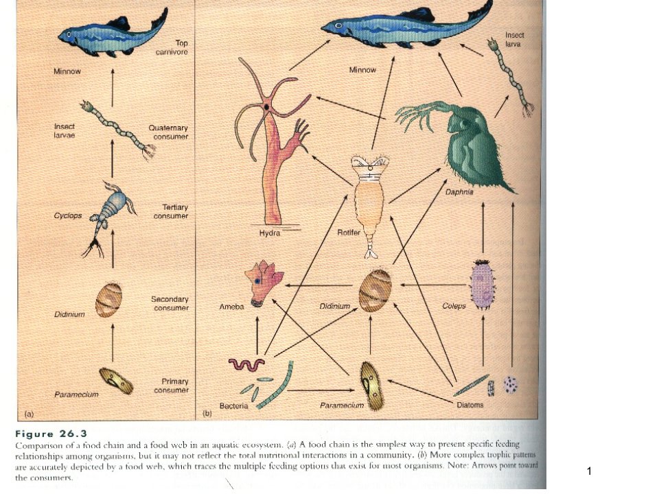 2021年微生物生态学生物群体的相互作用