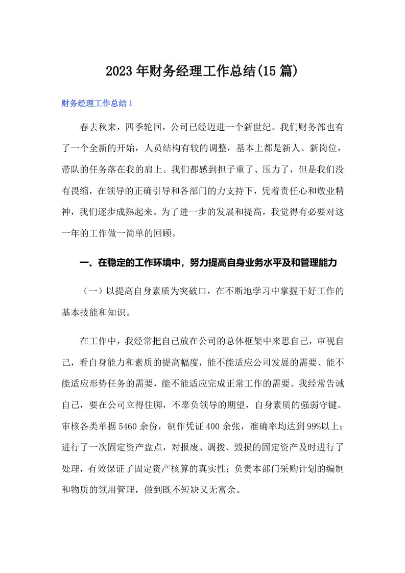 2023年财务经理工作总结(15篇)