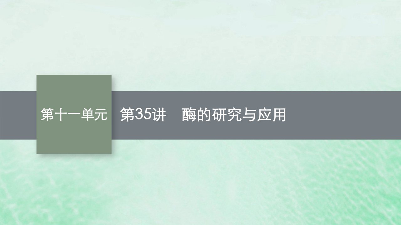 适用于老高考旧教材2024版高考生物一轮总复习第十一单元生物技术实践第35讲酶的研究与应用课件新人教版