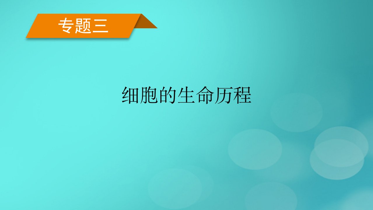 老高考适用2023版高考生物二轮总复习专题3细胞的生命历程第2讲细胞增殖与生物遗传变异的关系课件