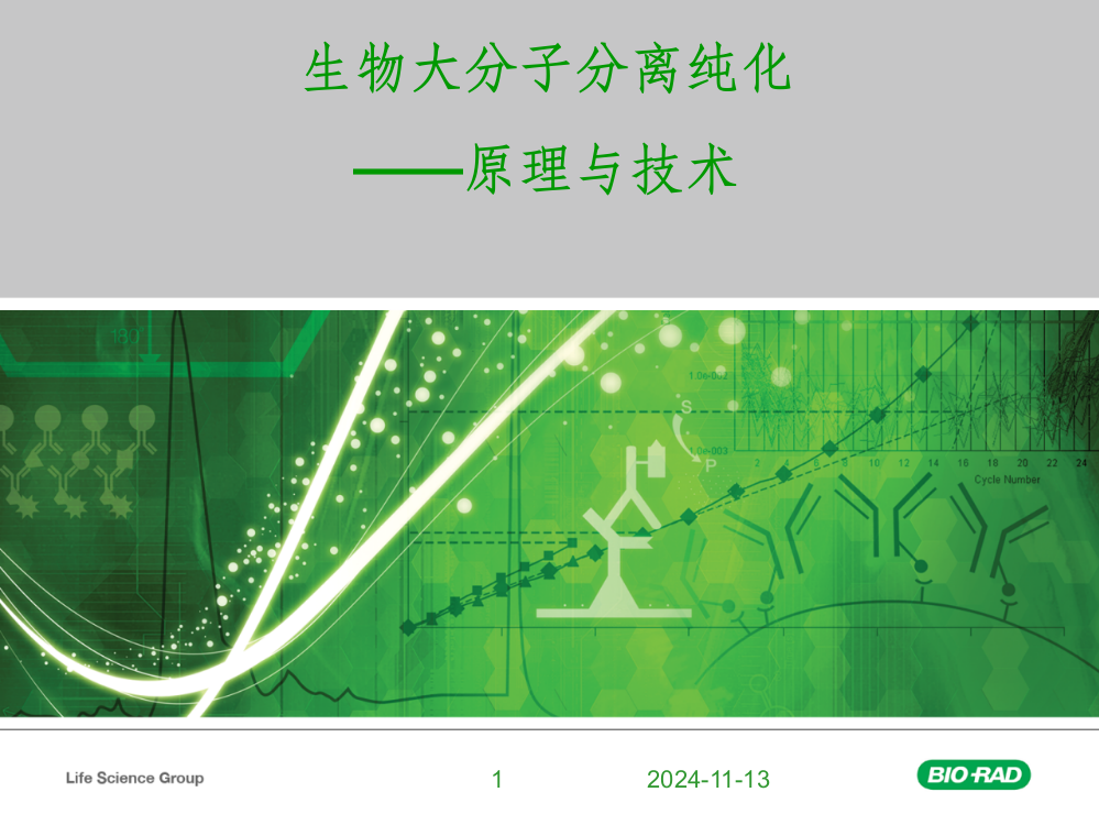 生物大分子分离纯化-原理与技术