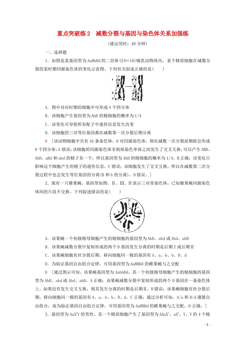 2020_2021学年新教材高中生物重点突破练2减数分裂与基因与染色体关系加强练含解析浙科版必修2