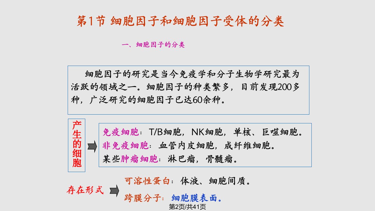 细胞因子2学习