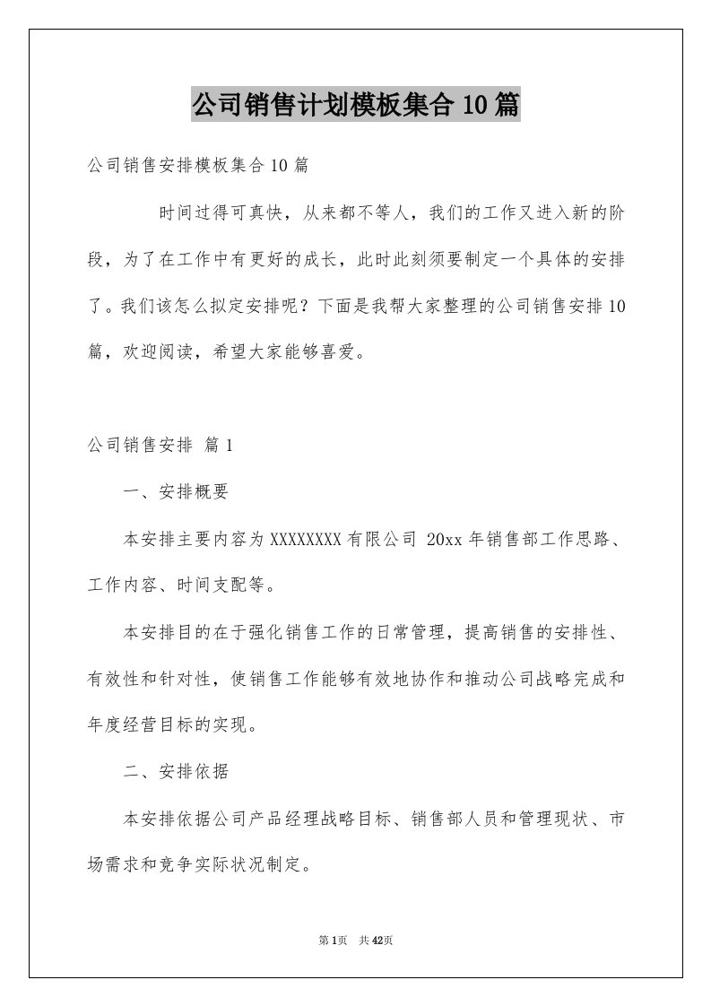 公司销售计划模板集合10篇精选