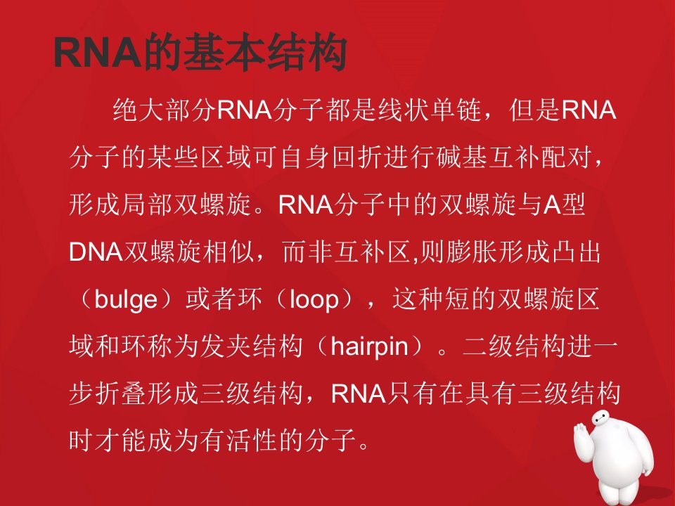 RNA结构的特点