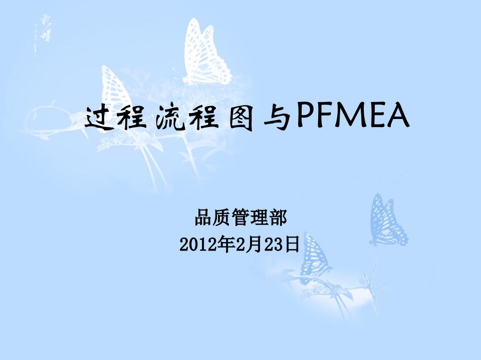 过程流程及PFMEA