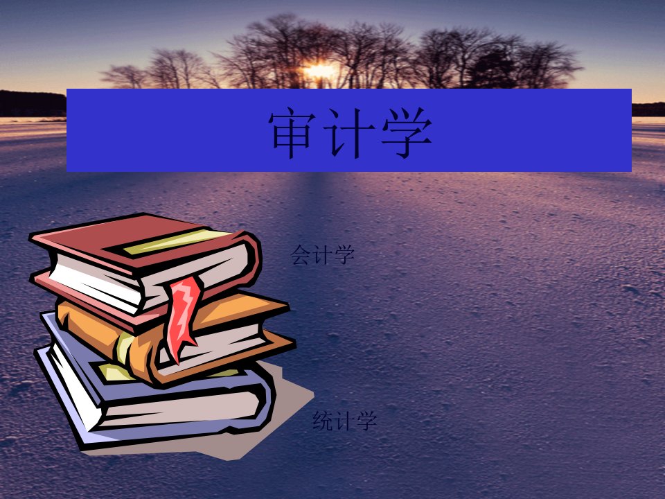 审计学第1章92页PPT