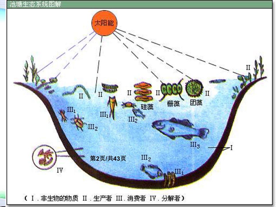 环境材料学材料工业生态学