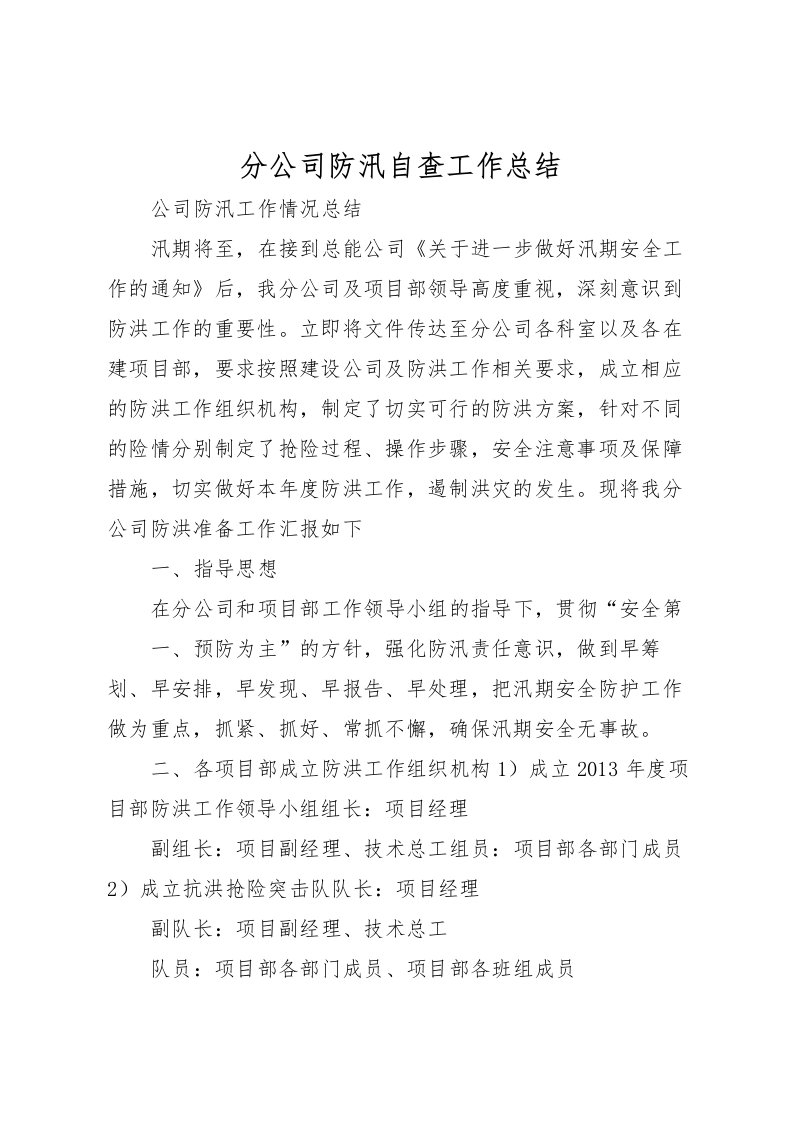 2022分公司防汛自查工作总结