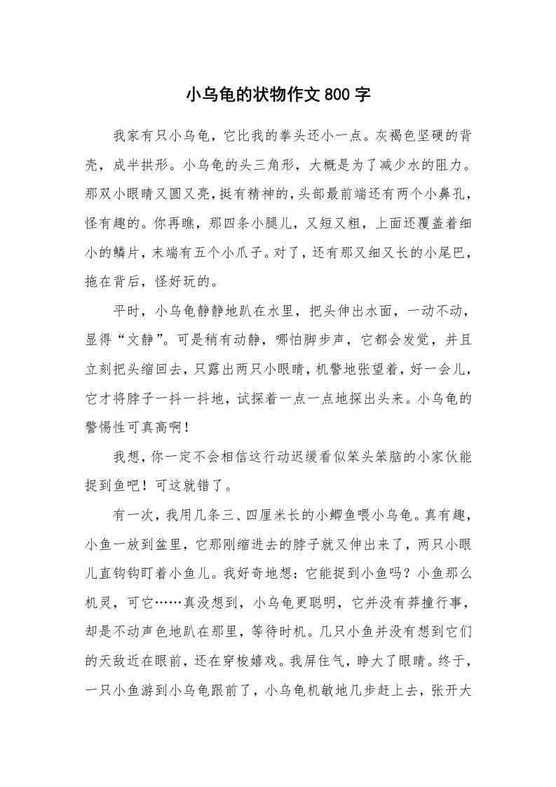 小乌龟的状物作文800字