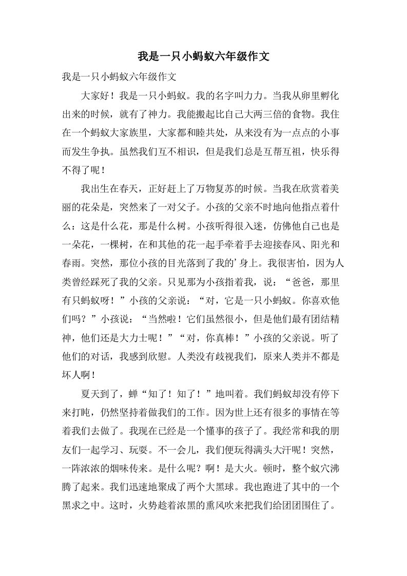 我是一只小蚂蚁六年级作文