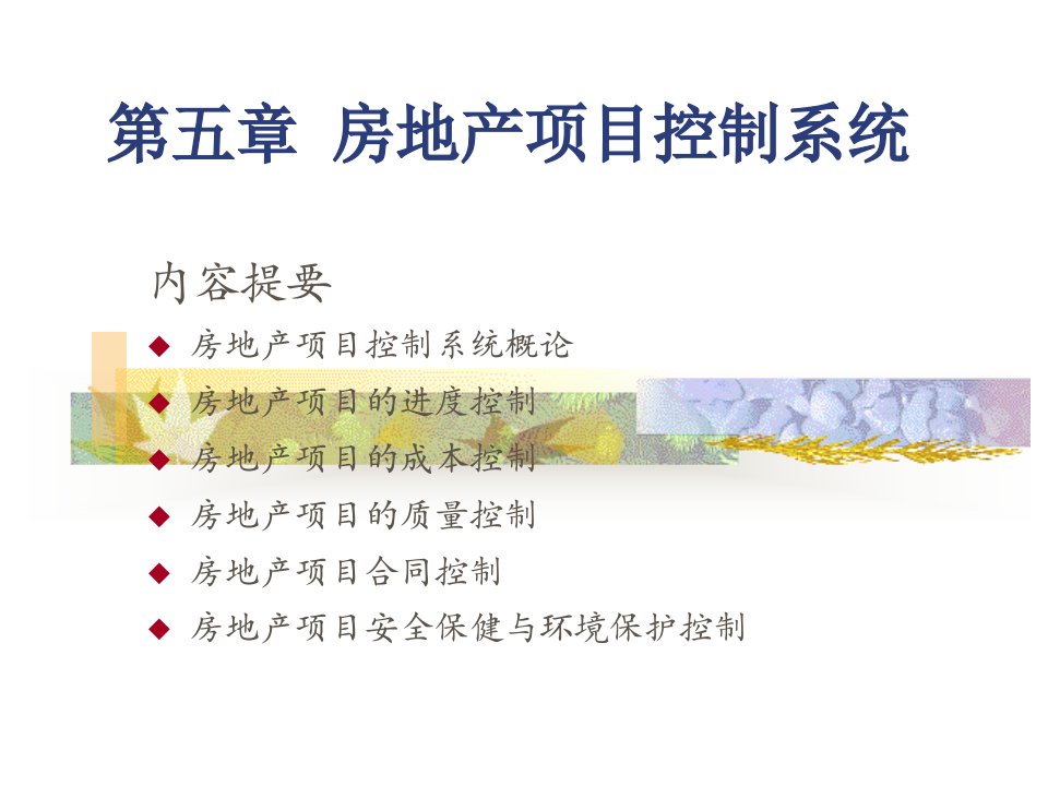 房地产项目控制系统教学