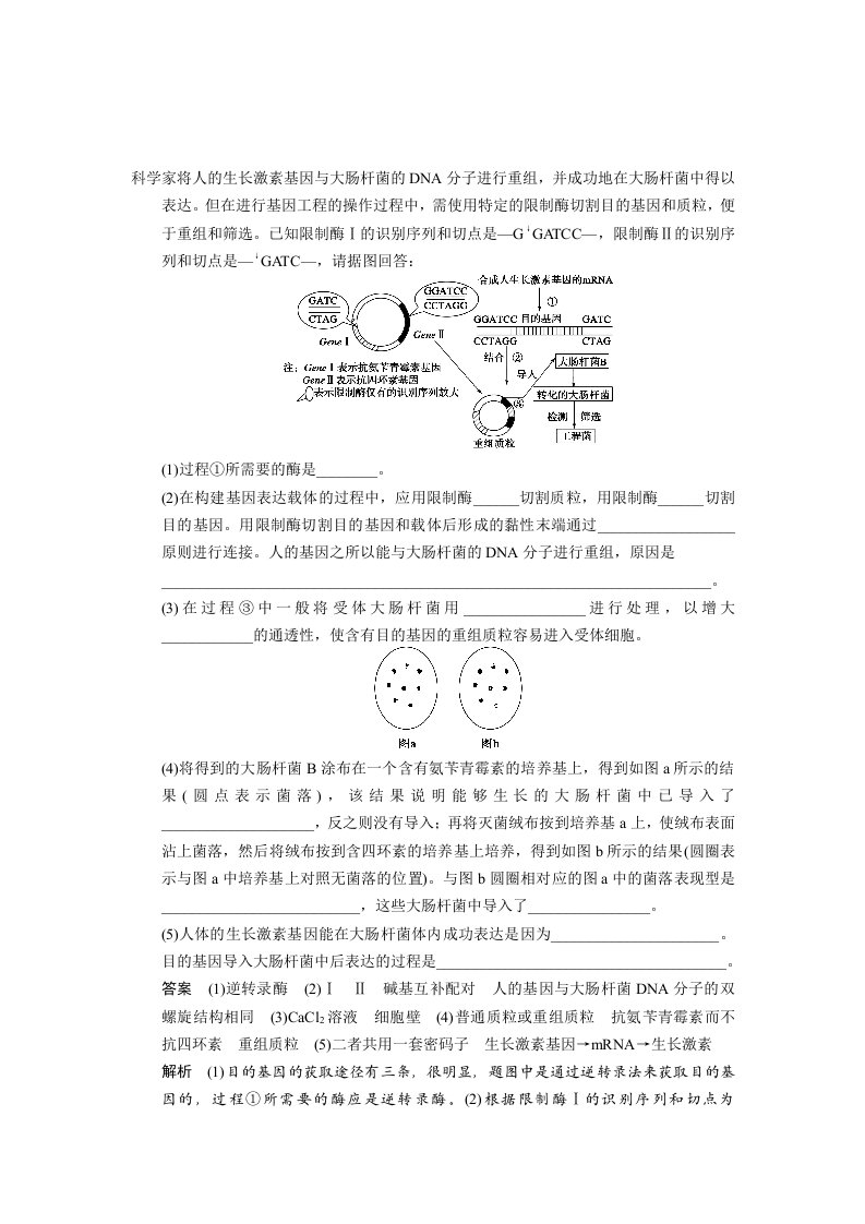 科学家将人的生长激素基因与大肠杆菌的DNA分子进行重组