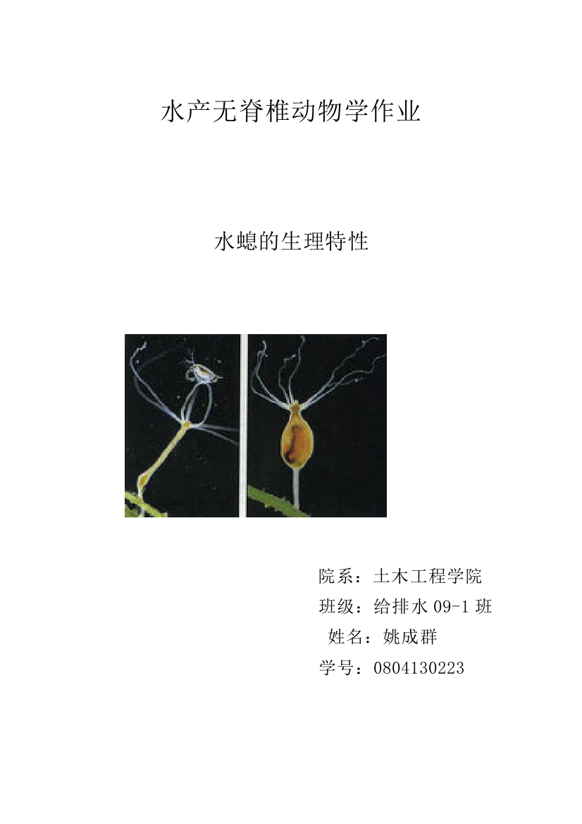 水产无脊椎动物学作业