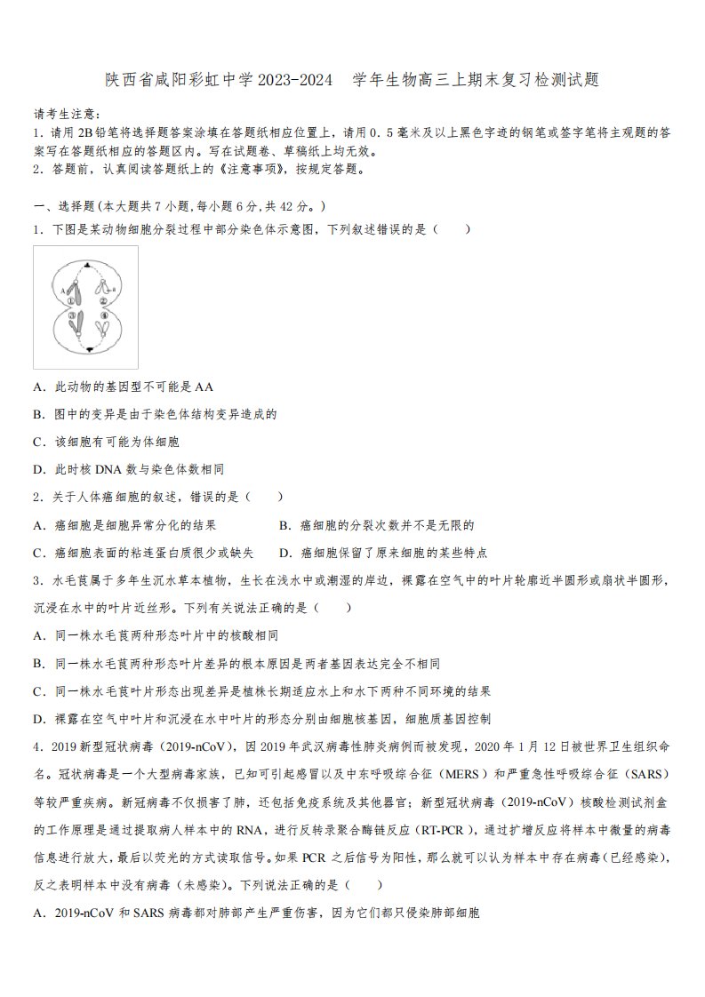 陕西省咸阳彩虹中学2023-2024学年生物高三上期末复习检测试题含解析